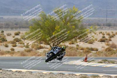 media/Apr-10-2022-SoCal Trackdays (Sun) [[f104b12566]]/Turn 5 Tree of Life (1040am)/